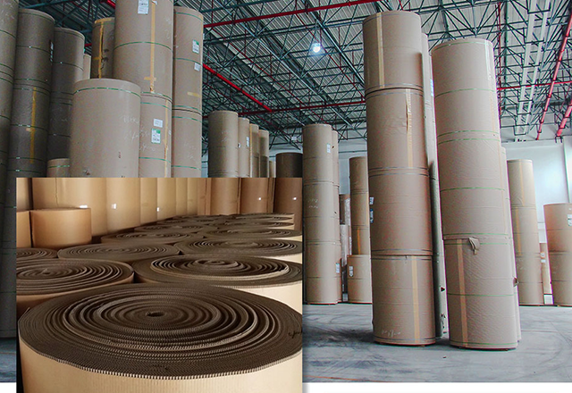 Corrugated Cardboard