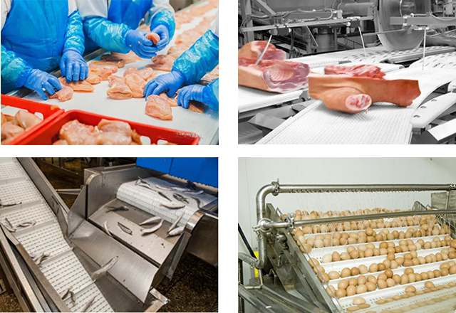 Meat, Poultry, and Seafood Industries