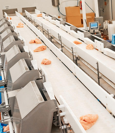 The Meat and Seafood Industry