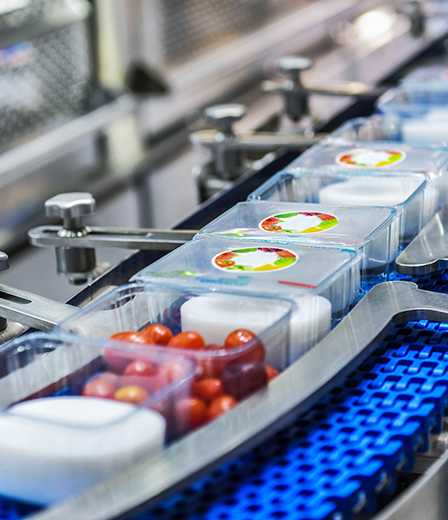 The Fruit and Vegetable Industry