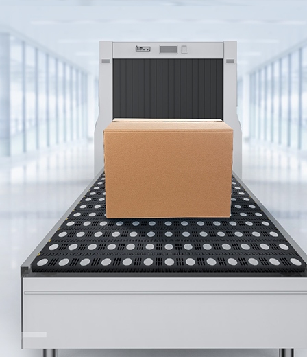 Airport Luggage Security Check