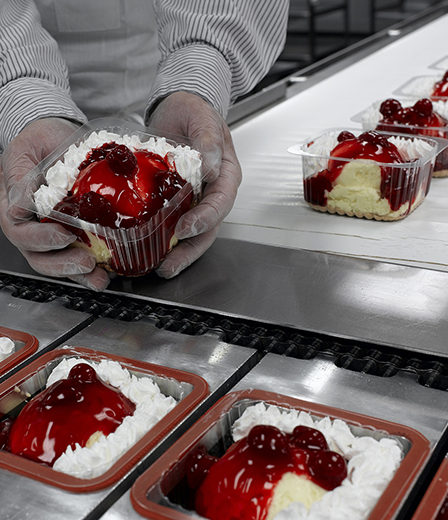 Food Processing Industry