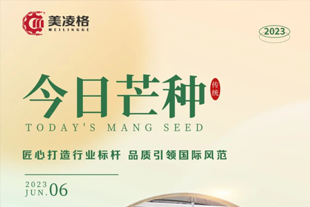 Grain in Ear | Wheat Harvest, Seedlings and Rice Transplantation, Climbing to the Top in Autumn